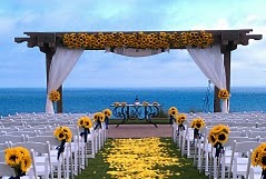 wedding on beech